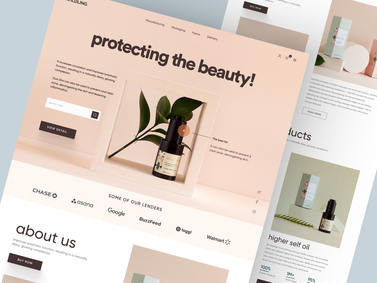 Example of Shopify Website Design & Development